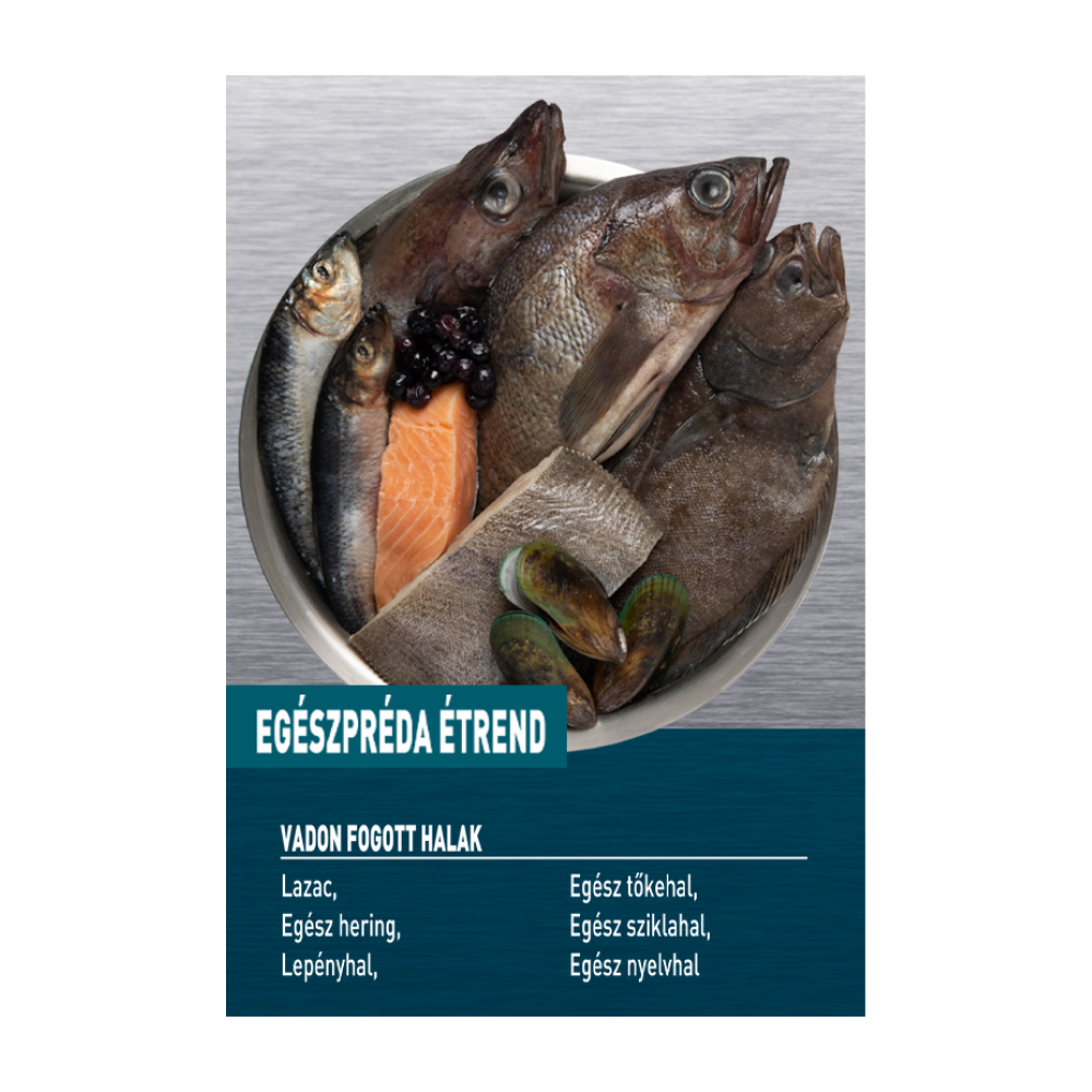 ORIJEN Small Breed Marine Fish – 3. kép