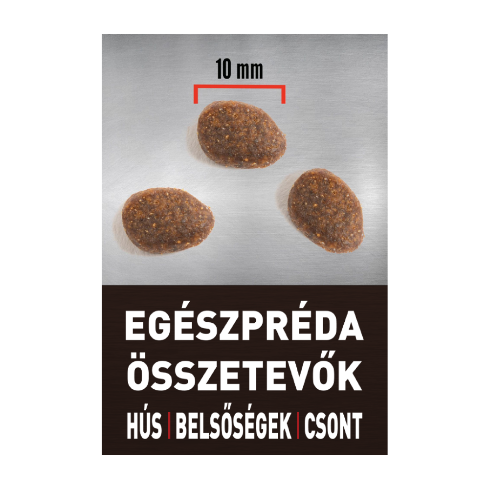 ORIJEN Regional Red Cat – 4. kép